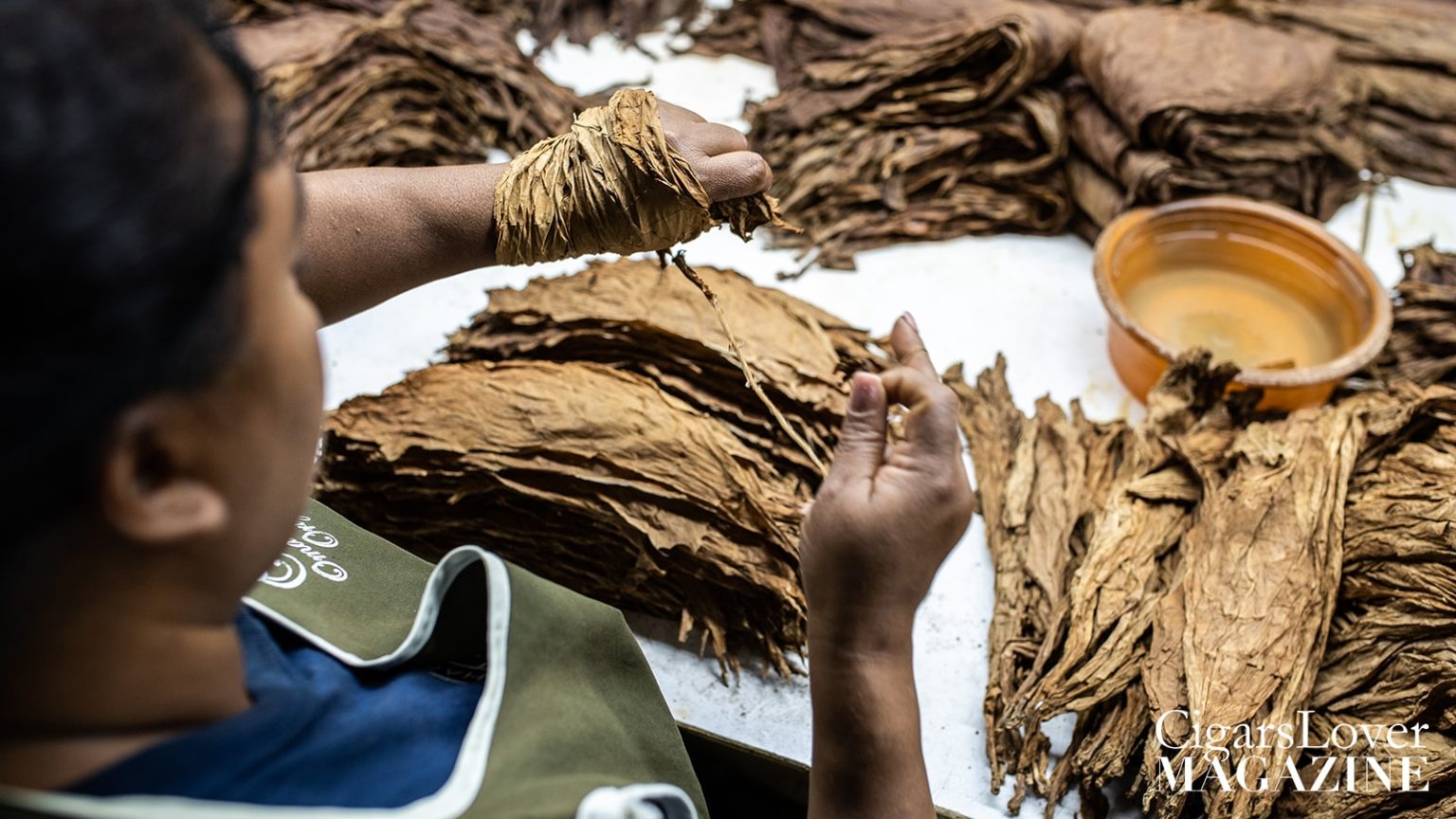 The fermentation of tobacco leaves - CigarsLover